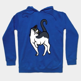 Begging for pettings--Tuxedo Cat 2 Style Hoodie